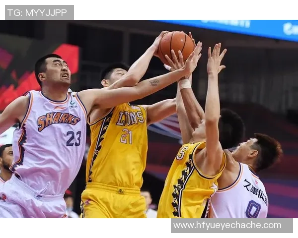 数据分析：上海篮球队的力量表现