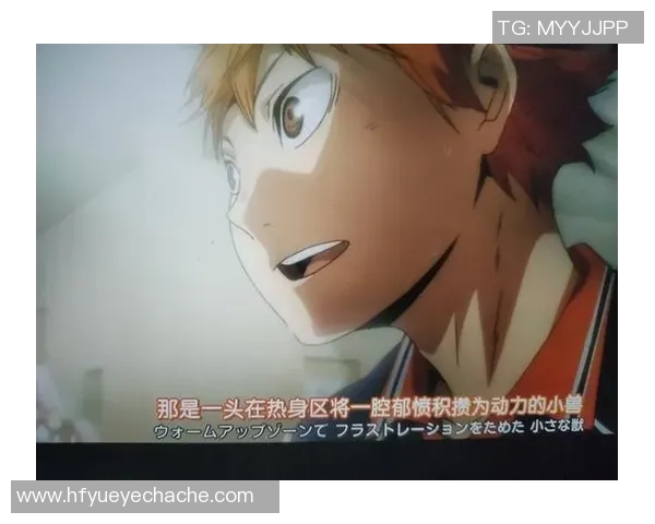 从零开始：排球意识完全攻略