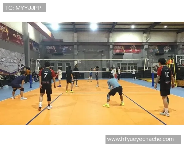 排球专题：聚焦杭州排球队的力量